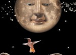 Hathaway Cheshire Moon